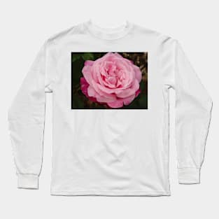 Rose Flower Pink Two Tone Long Sleeve T-Shirt